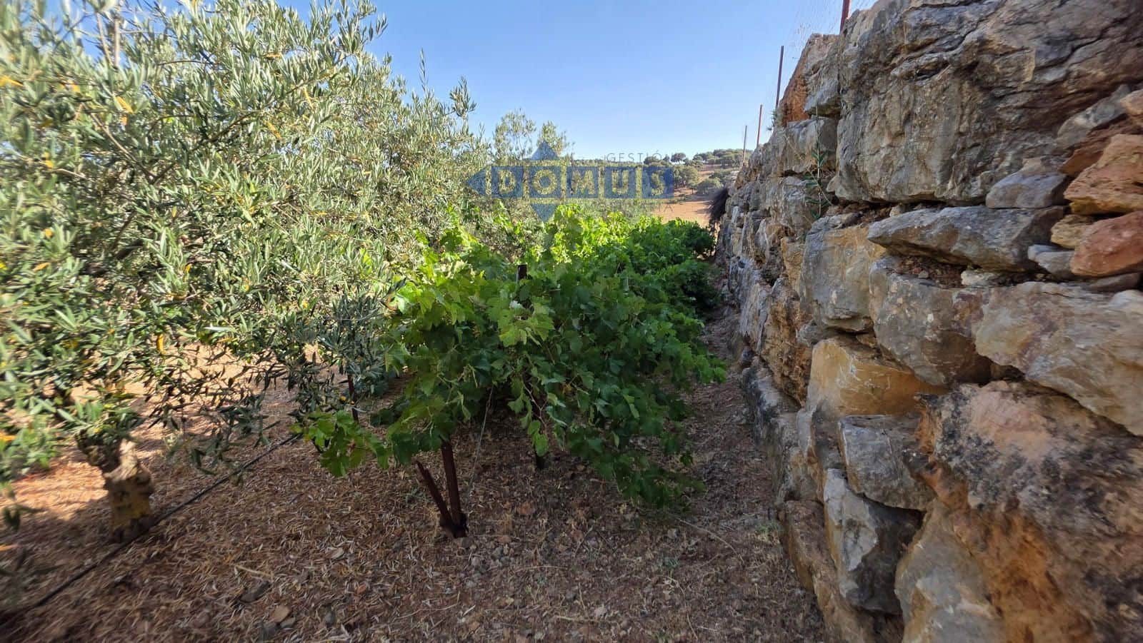 Grond te koop in Ronda - € 85.000 (Ref: 9958815)
