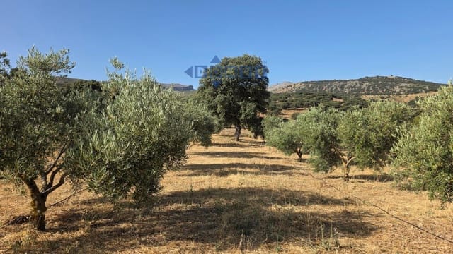 Grond te koop in Ronda - € 85.000 (Ref: 9958815)