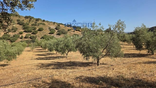 Grond te koop in Ronda - € 85.000 (Ref: 9958815)