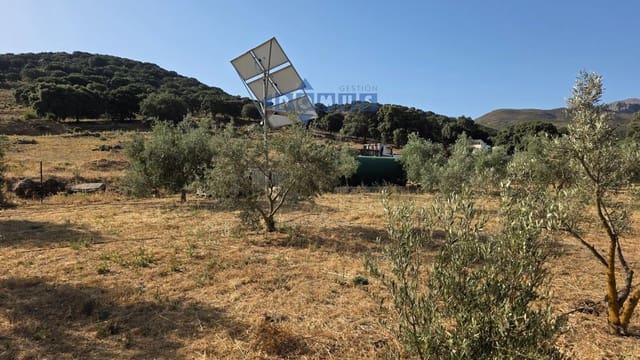 Grond te koop in Ronda - € 85.000 (Ref: 9958815)