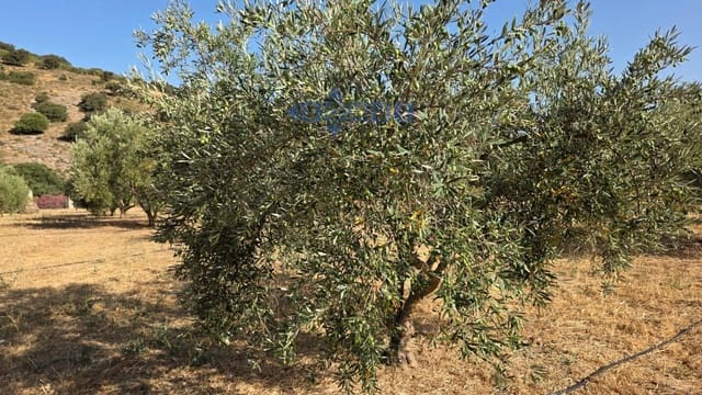Grond te koop in Ronda - € 85.000 (Ref: 9958815)