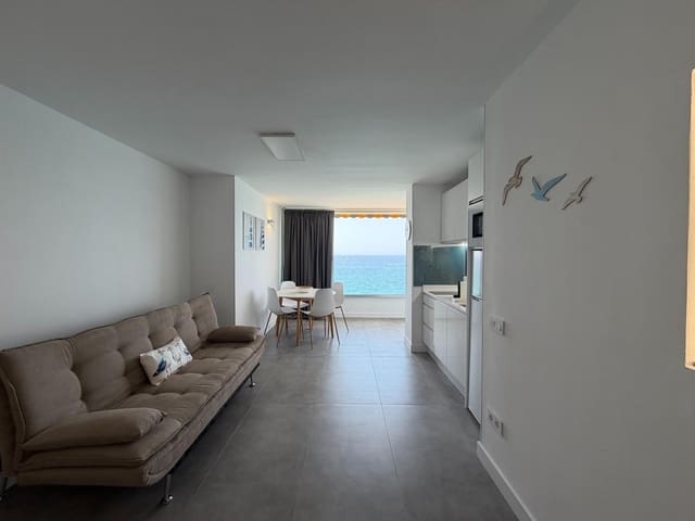 Estudio en Mogán en alquiler - 2.000 € (Ref: 10021123)