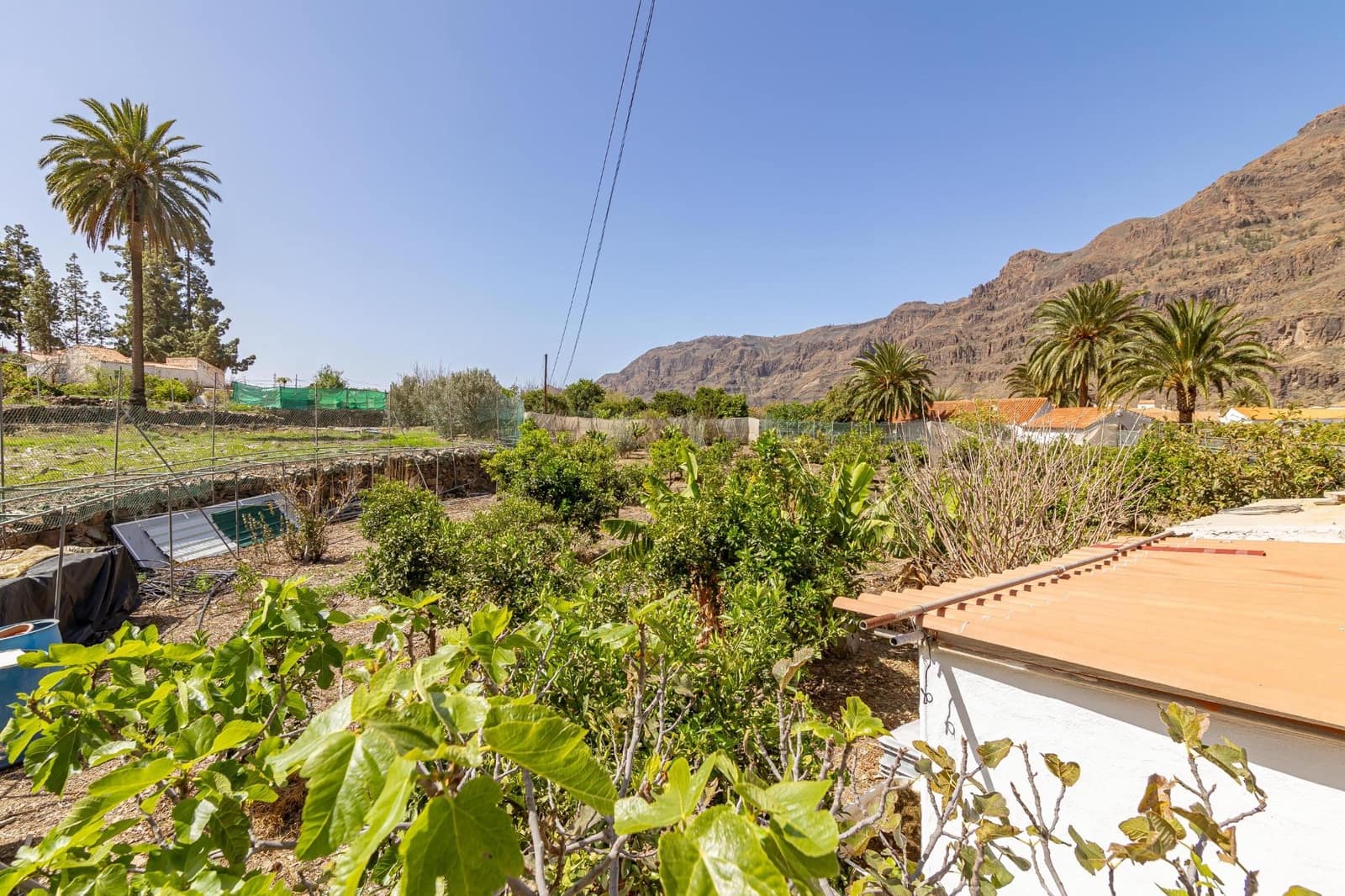 Finca/Casa Rural de 6 habitaciones en Fataga en venta - 399.000 € (Ref: 8213518)