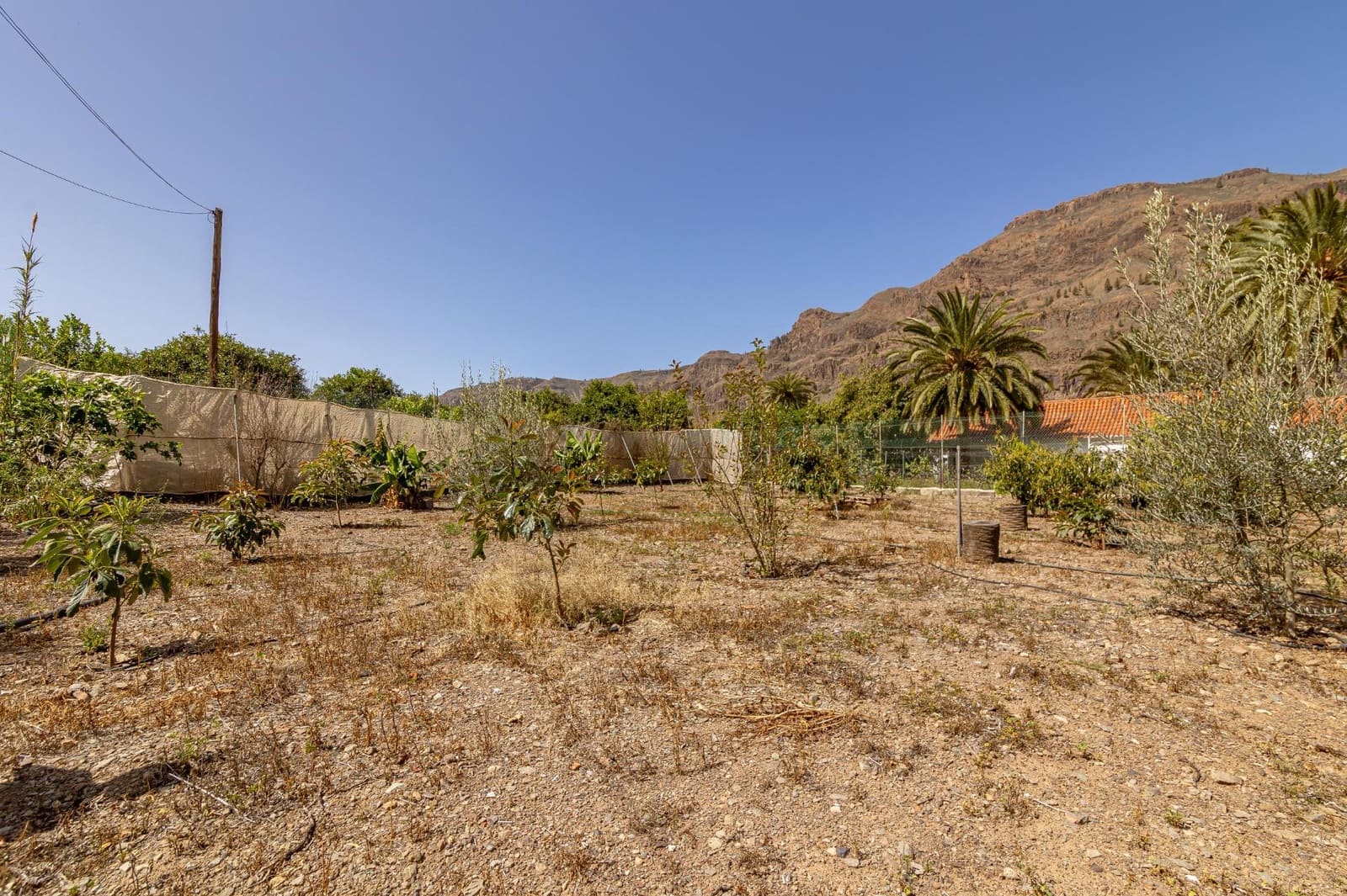 Finca/Casa Rural de 6 habitaciones en Fataga en venta - 399.000 € (Ref: 8213518)