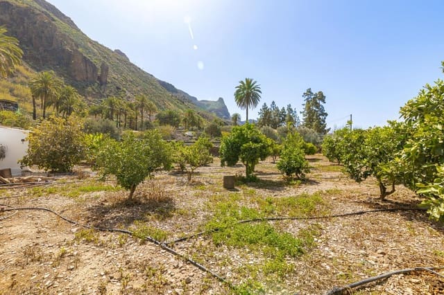 6 chambre Finca/Maison de Campagne à vendre à Fataga, San Bartolomé de Tirajana - 399 000 € (Ref: 8213518)