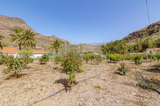 6 chambre Finca/Maison de Campagne à vendre à Fataga, San Bartolomé de Tirajana - 399 000 € (Ref: 8213518)
