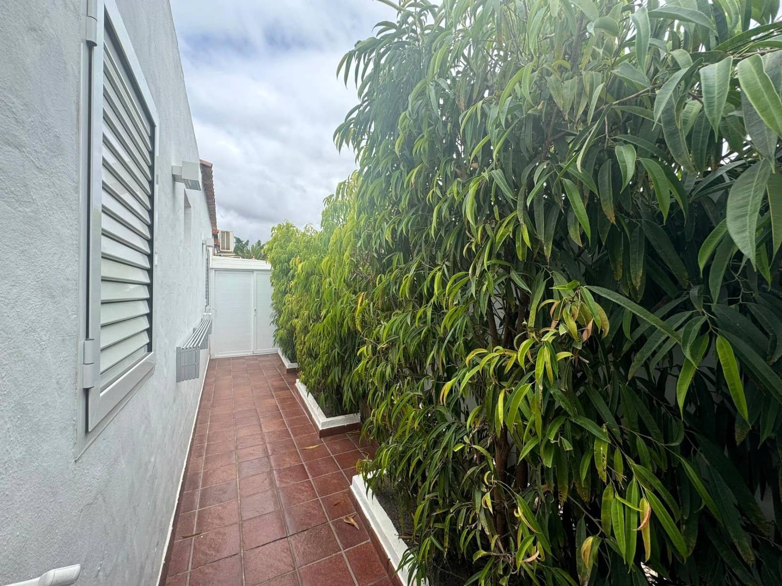 3 bedroom Bungalow for rent in Campo Internacional with pool - € 3,000 (Ref: 8366184)