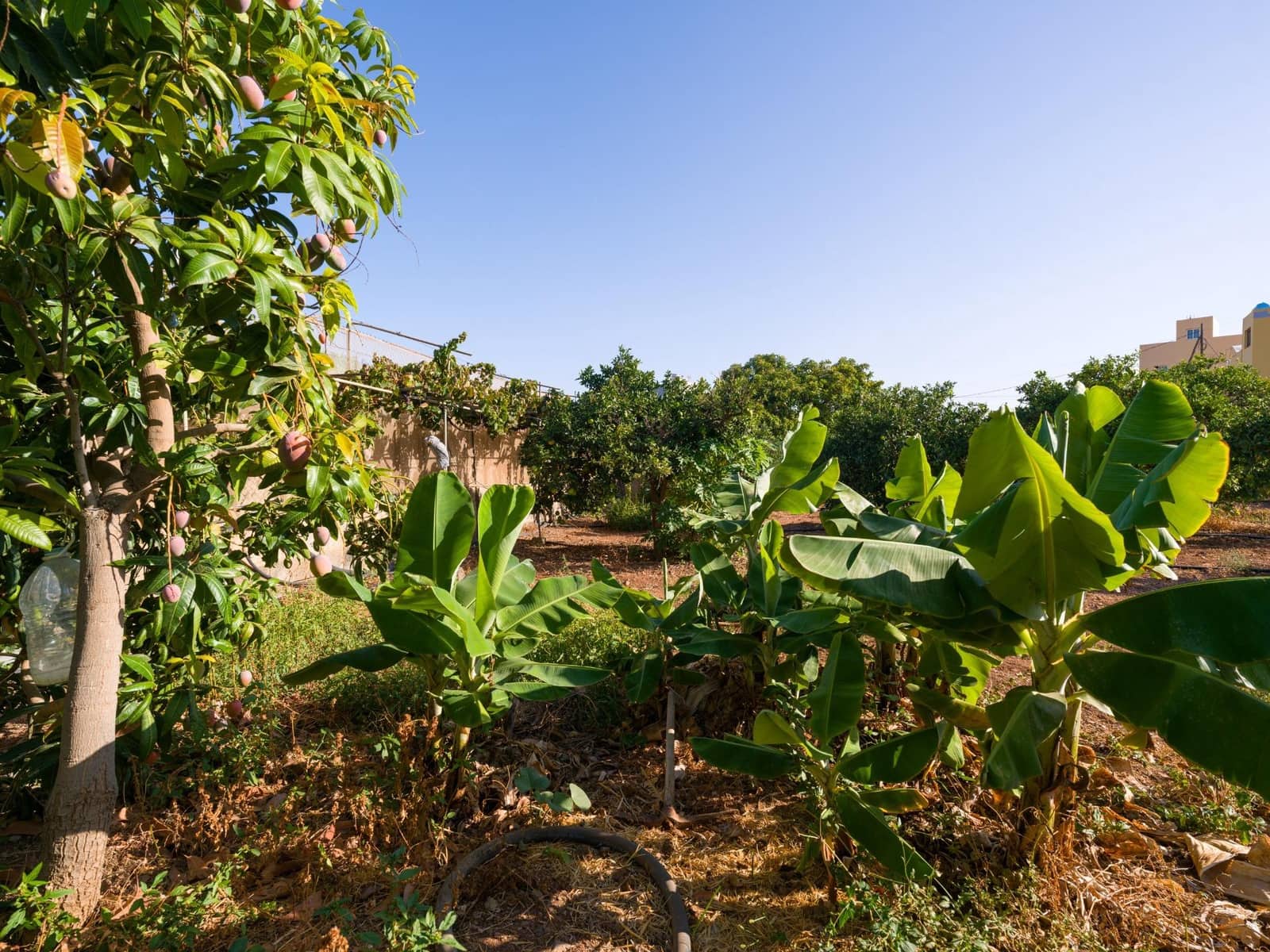 5 soverom Villa til salgs i Ingenio - € 499 000 (Ref: 9232801)