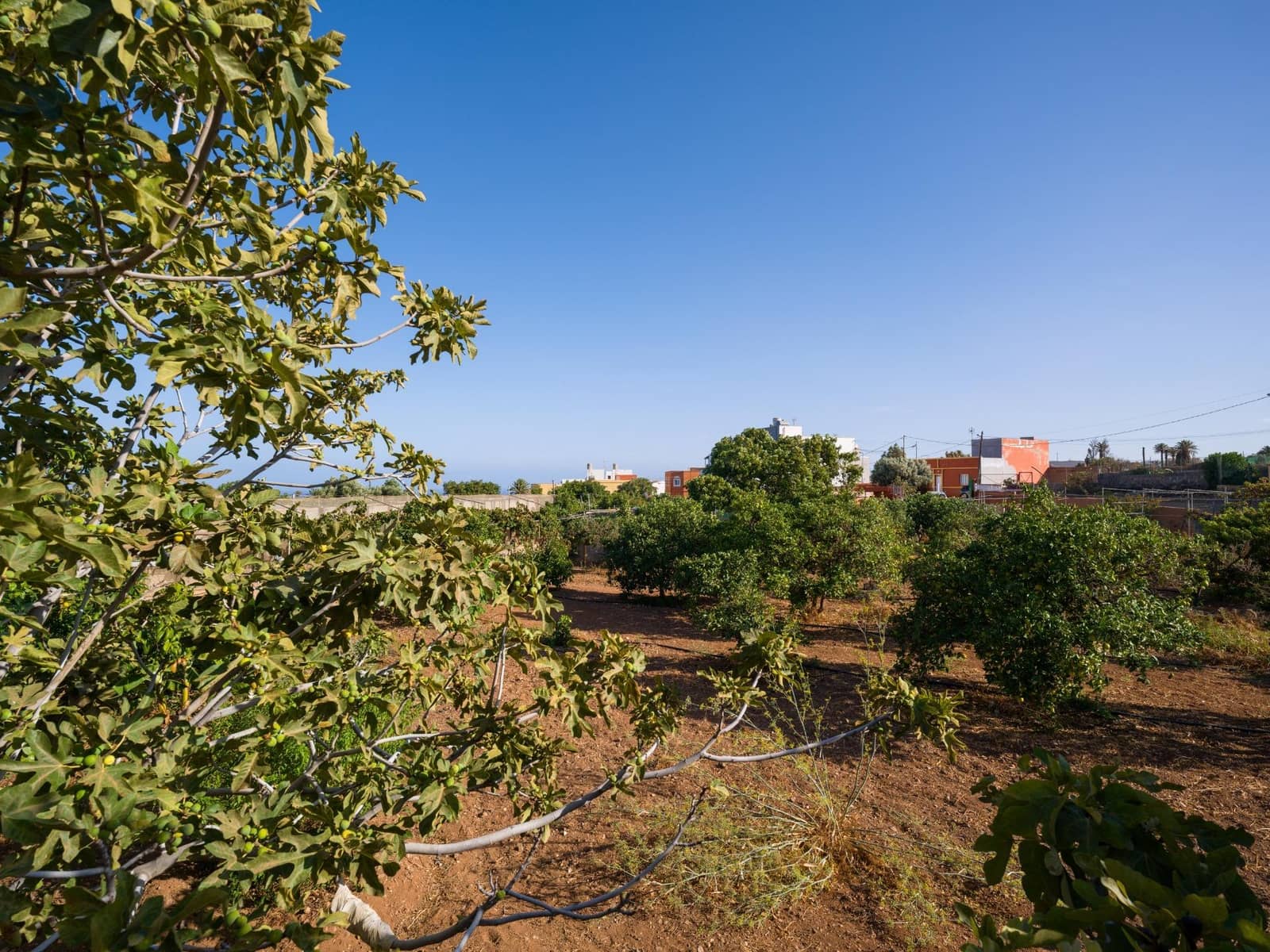 5 soveværelse Villa til salg i Ingenio - € 499.000 (Ref: 9232801)