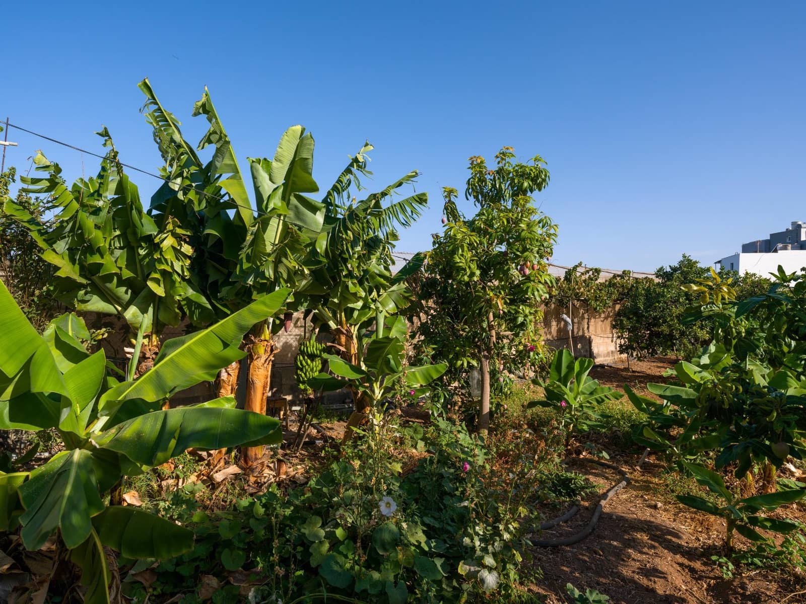 5 bedroom Villa for sale in Ingenio - € 499,000 (Ref: 9232801)