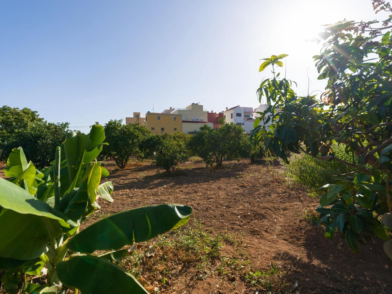 5 bedroom Villa for sale in Ingenio - € 499,000 (Ref: 9232801)