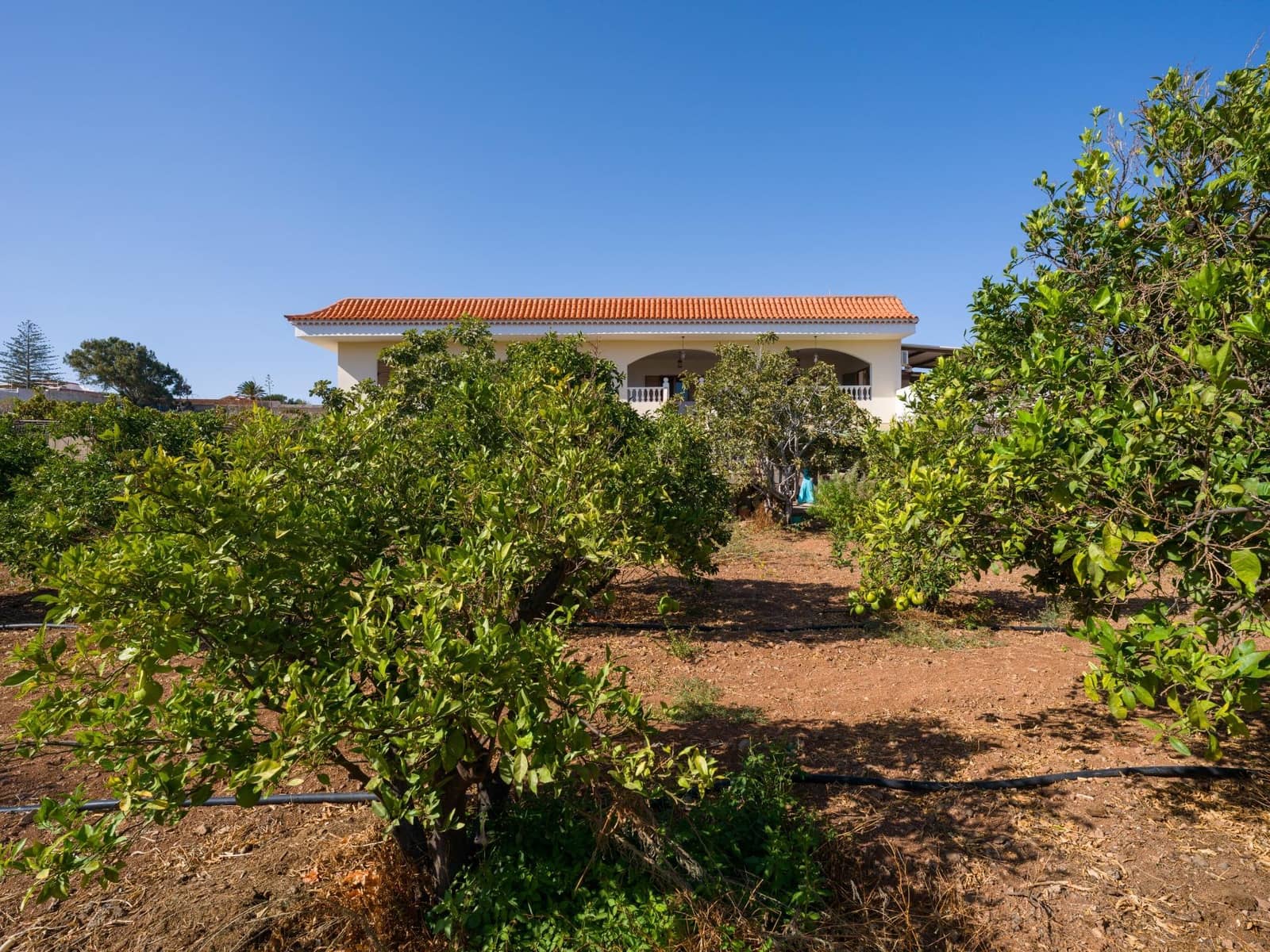 5 quarto Moradia para venda em Ingenio - 499 000 € (Ref: 9232801)