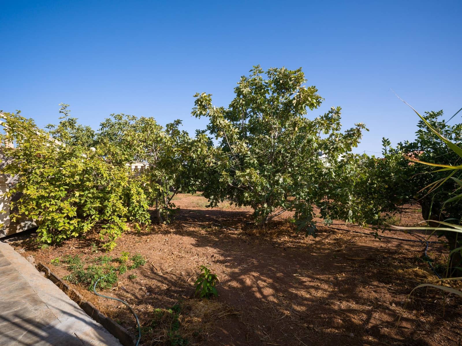 5 quarto Moradia para venda em Ingenio - 499 000 € (Ref: 9232801)