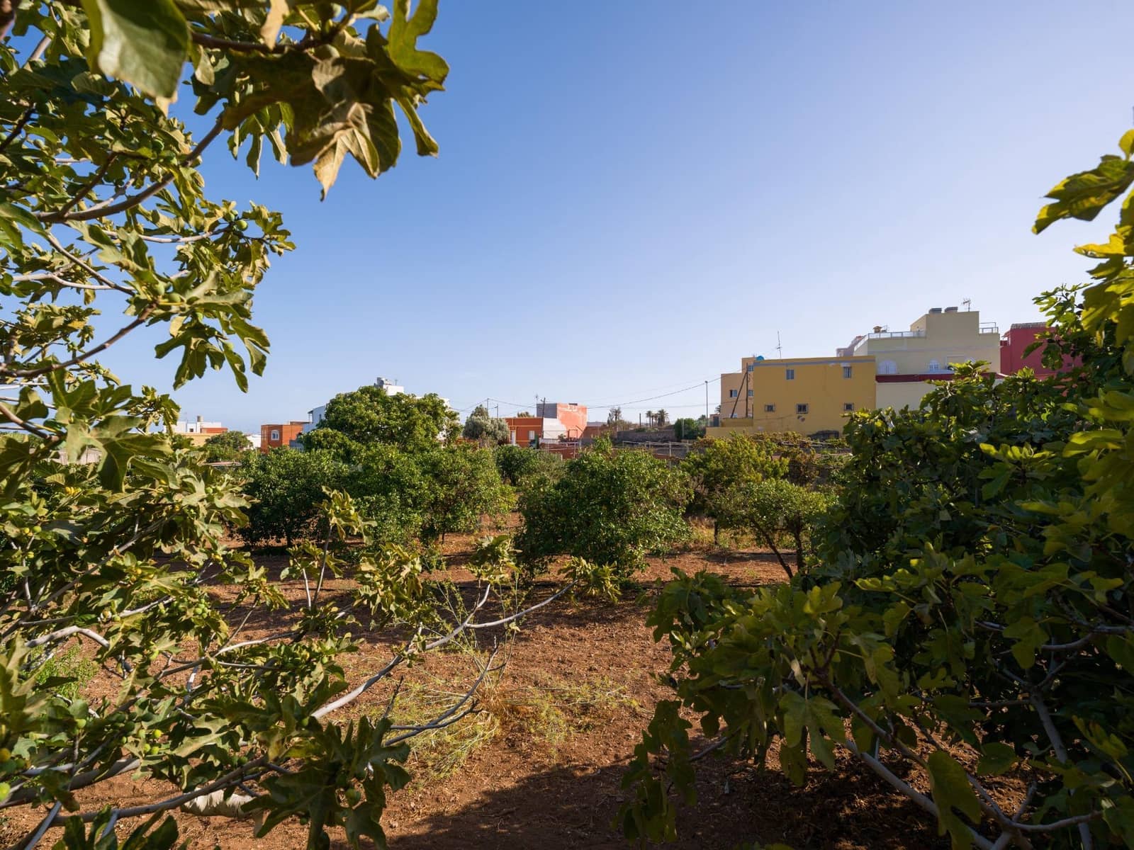 5 quarto Moradia para venda em Ingenio - 499 000 € (Ref: 9232801)