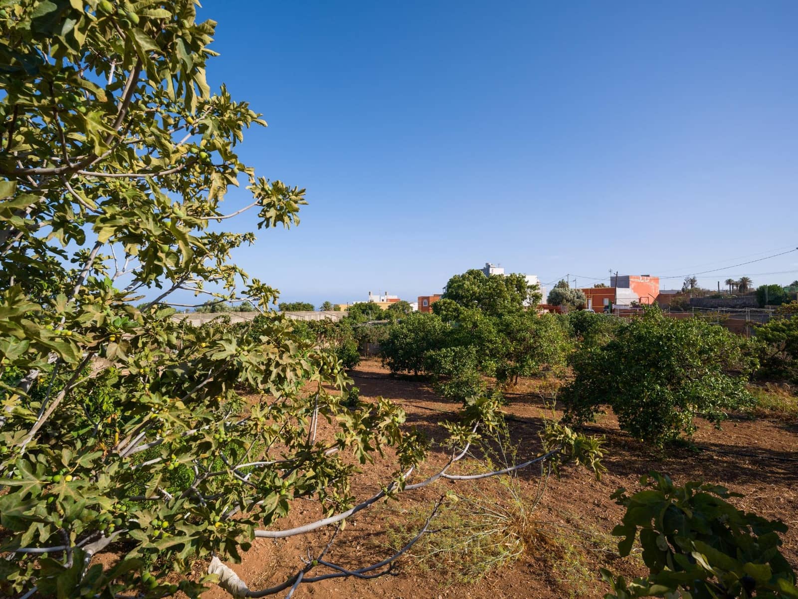 5 quarto Moradia para venda em Ingenio - 499 000 € (Ref: 9232801)