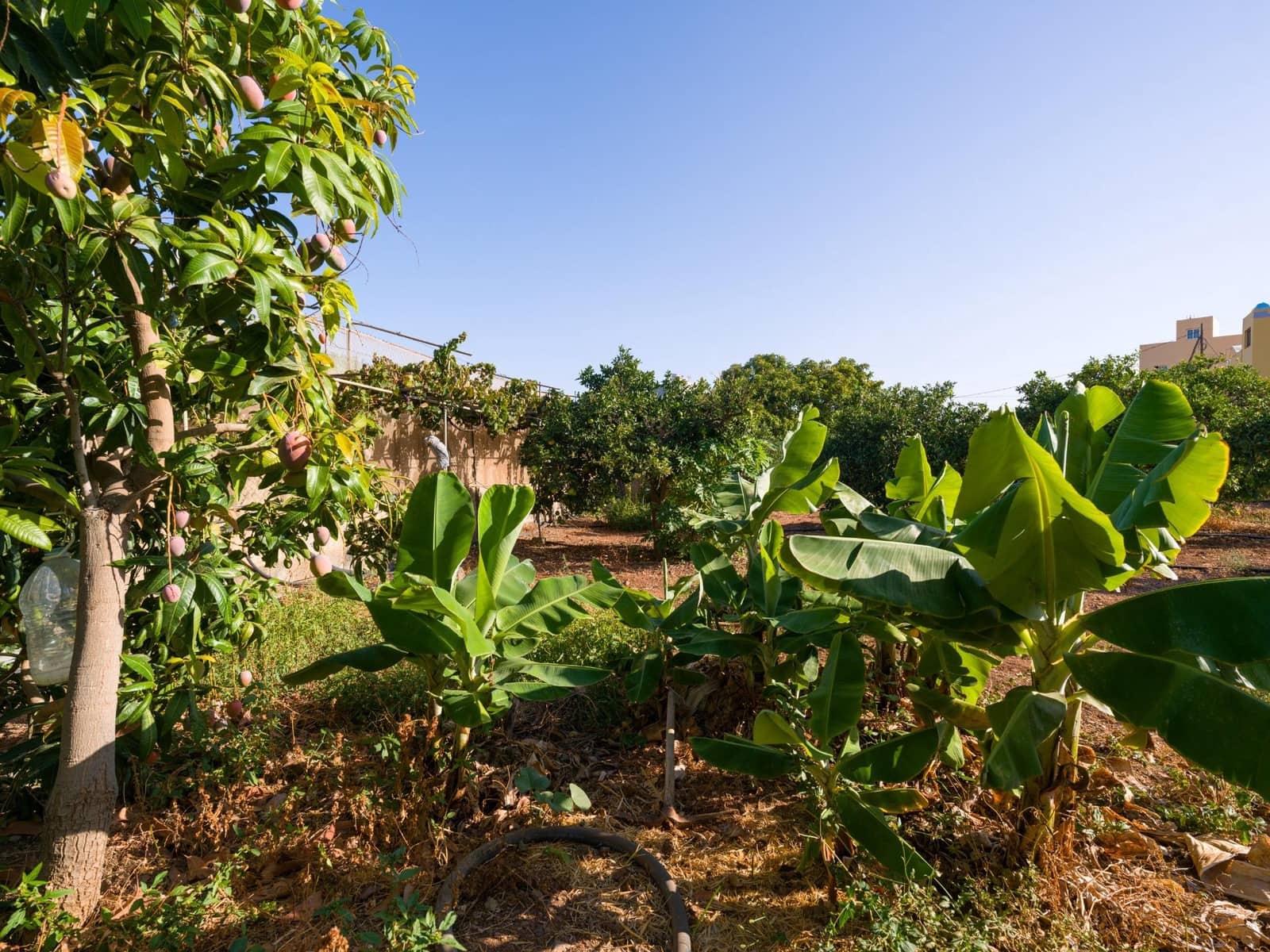 5 quarto Moradia para venda em Ingenio - 499 000 € (Ref: 9232801)