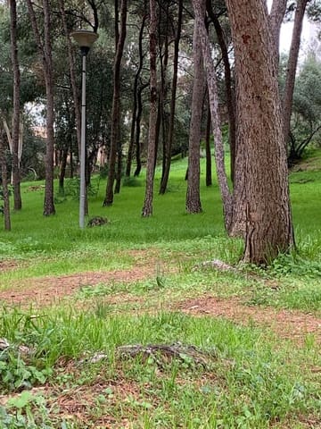 5 sypialnia Mieszkanie do wynajęcia w Miraflores del Palo, Miasto Málaga z basenem garażem - 2 500 € (Ref: 9540779)