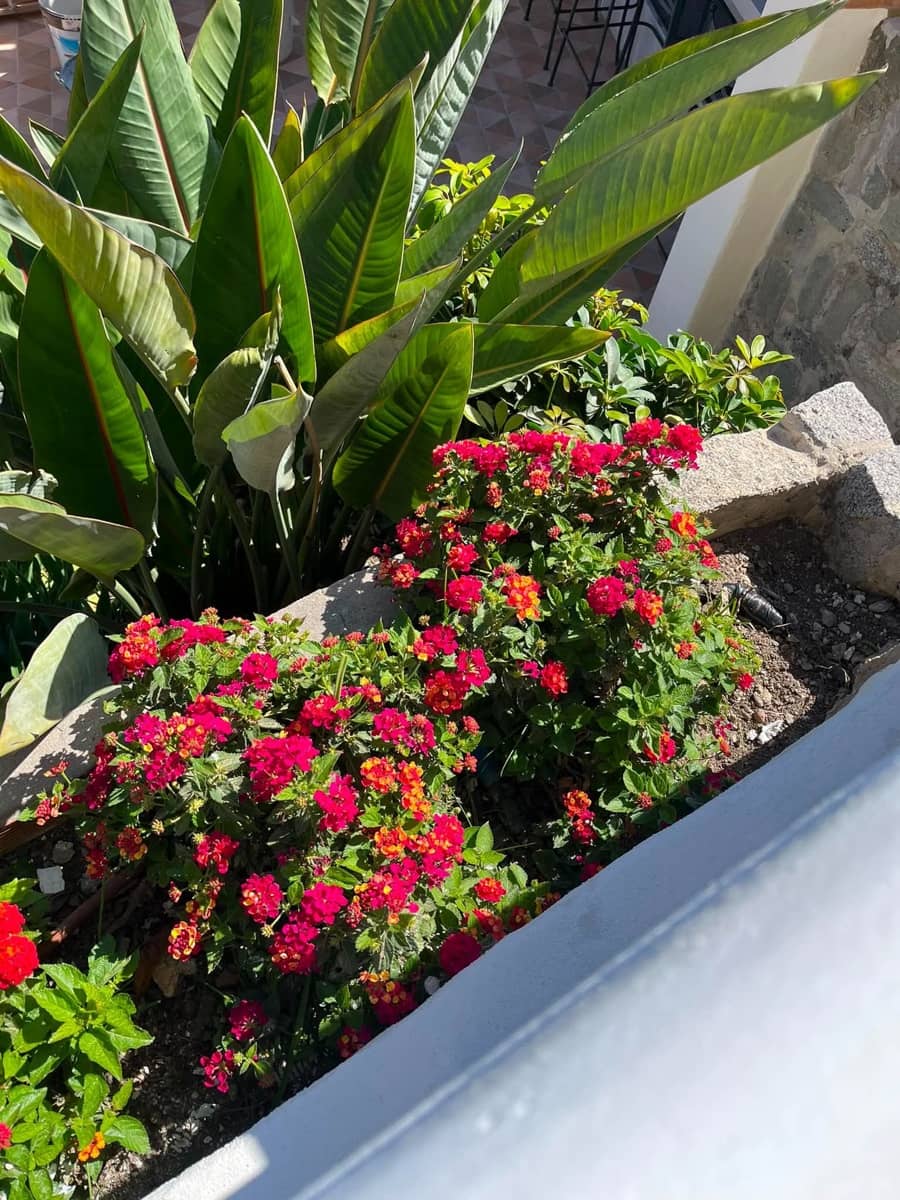 5 camera da letto Villa da affittare in Malaga citta con piscina garage - 5.000 € (Rif: 9912495)