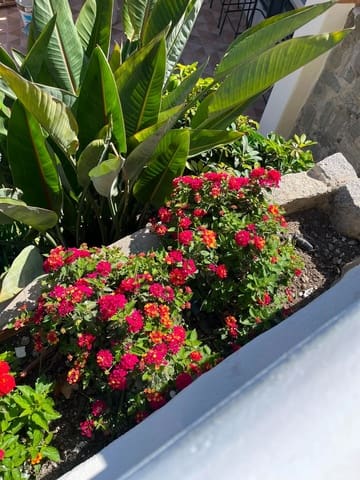5 camera da letto Villa da affittare in Olletas, Malaga città con piscina garage - 5.000 € (Rif: 9912495)