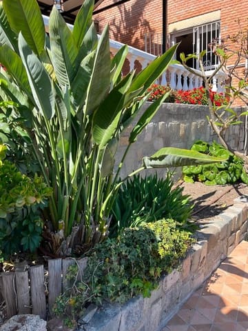 5 camera da letto Villa da affittare in Olletas, Malaga città con piscina garage - 5.000 € (Rif: 9912495)