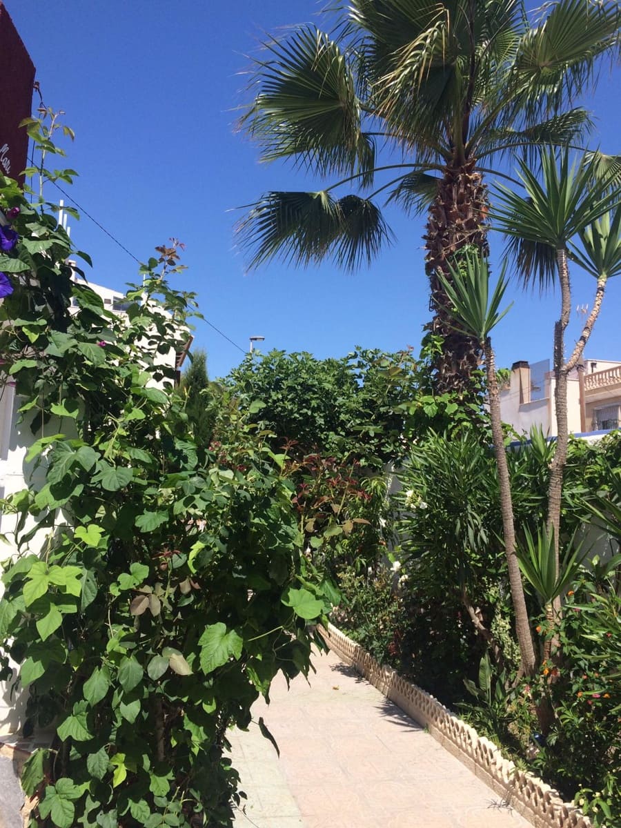 3 bedroom Villa for sale in Torrevieja with pool - € 550,000 (Ref: 9467769)