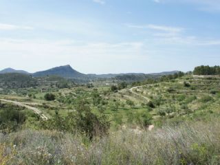 Bouwgrond te koop in Relleu - € 115.000 (Ref: 2096697)