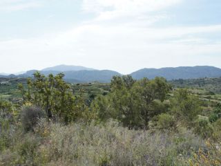 Tomt till salu i Relleu - 115 000 € (Ref: 2096697)