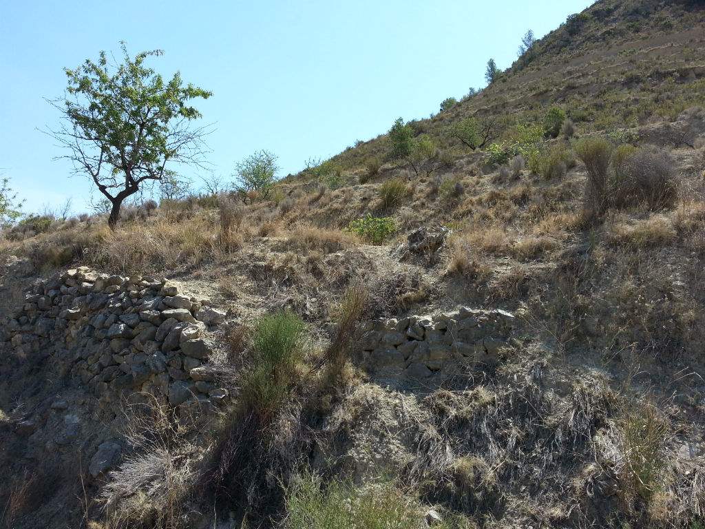 Bouwgrond te koop in Relleu - € 52.000 (Ref: 2991186)