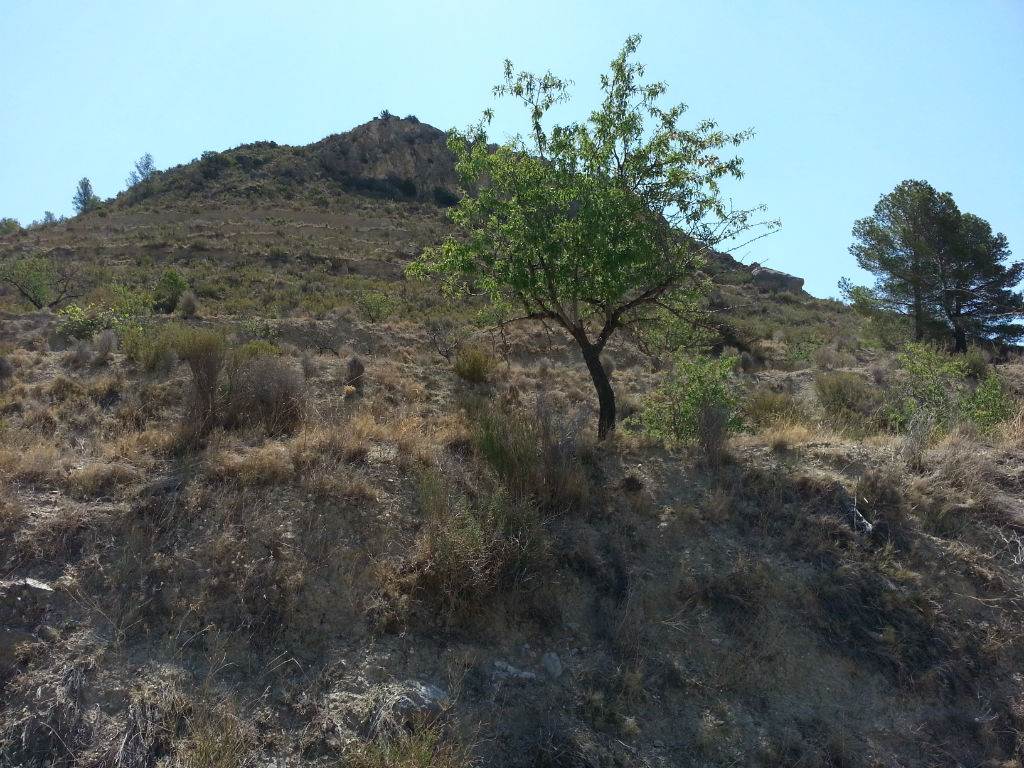 Bouwgrond te koop in Relleu - € 52.000 (Ref: 2991186)