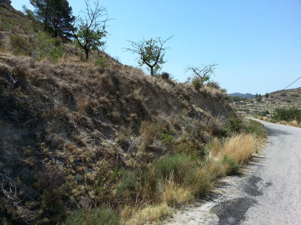 Bouwgrond te koop in Relleu - € 52.000 (Ref: 2991186)