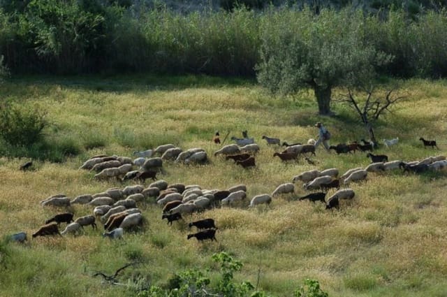 3 bedroom Apartment for sale in Relleu with pool garage - € 228,000 (Ref: 8625510)