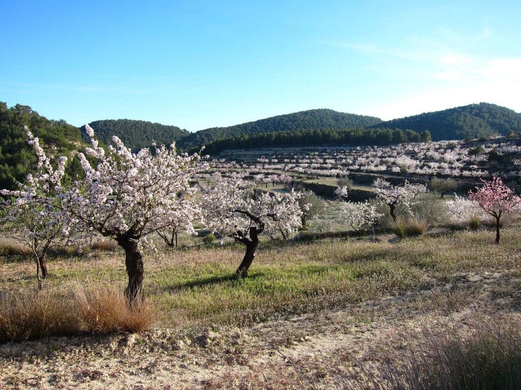 3 quarto Apartamento para venda em Relleu com piscina garagem - 228 000 € (Ref: 8625510)
