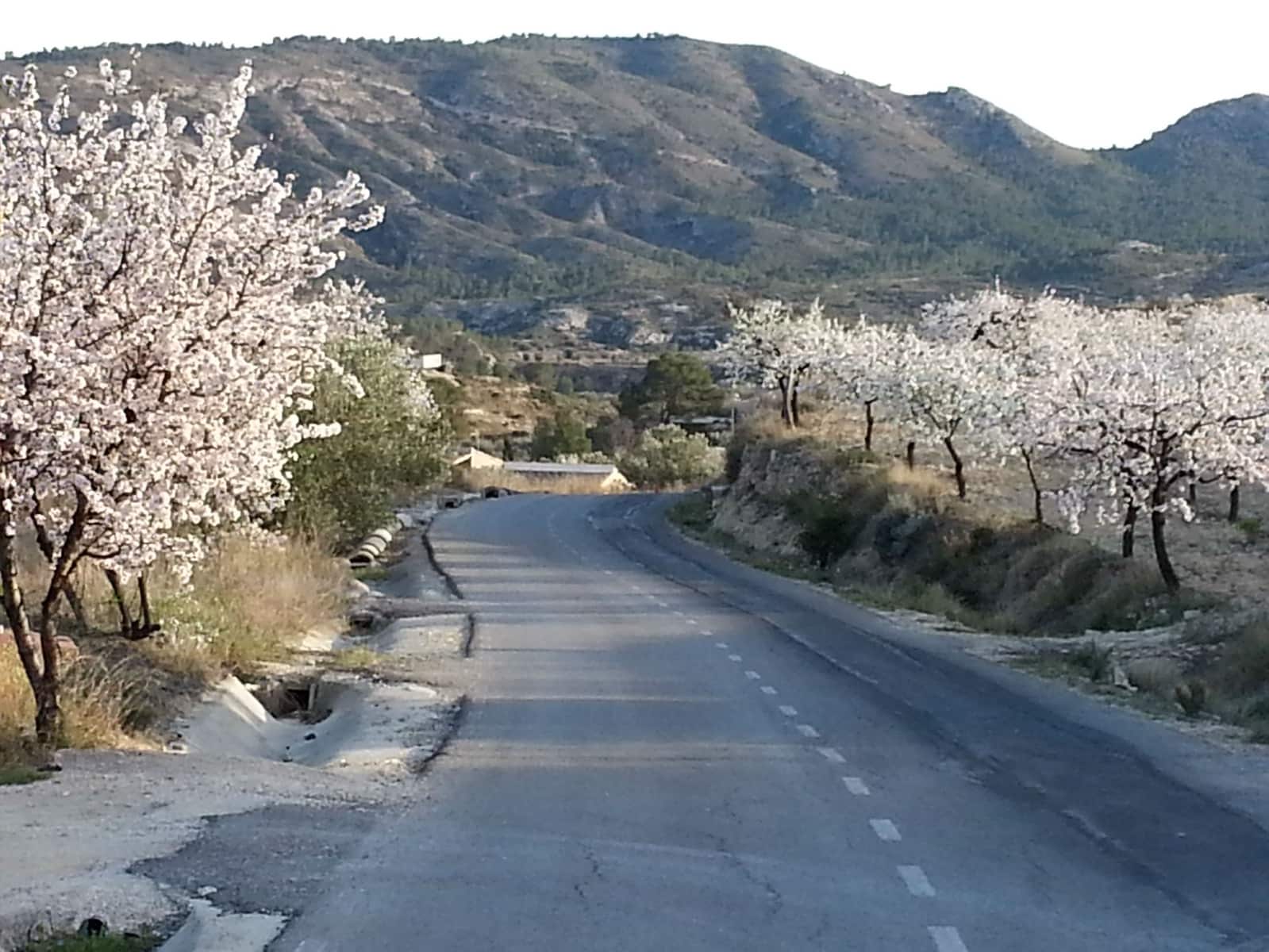 3 quarto Apartamento para venda em Relleu com piscina garagem - 228 000 € (Ref: 8625510)