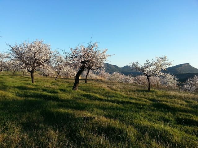 3 bedroom Apartment for sale in Relleu with pool garage - € 228,000 (Ref: 8625510)