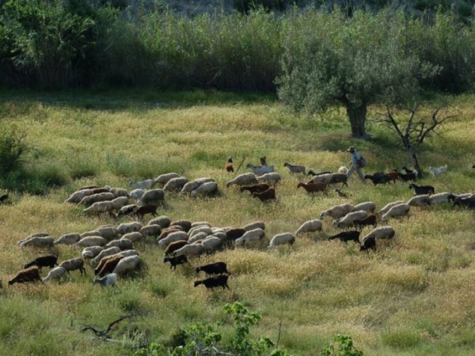 3 soveværelse Byhus til salg i Relleu med swimmingpool garage - € 199.000 (Ref: 9191852)