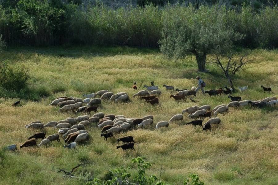 3 quarto Casa em Banda para venda em Relleu com piscina garagem - 195 000 € (Ref: 9205772)