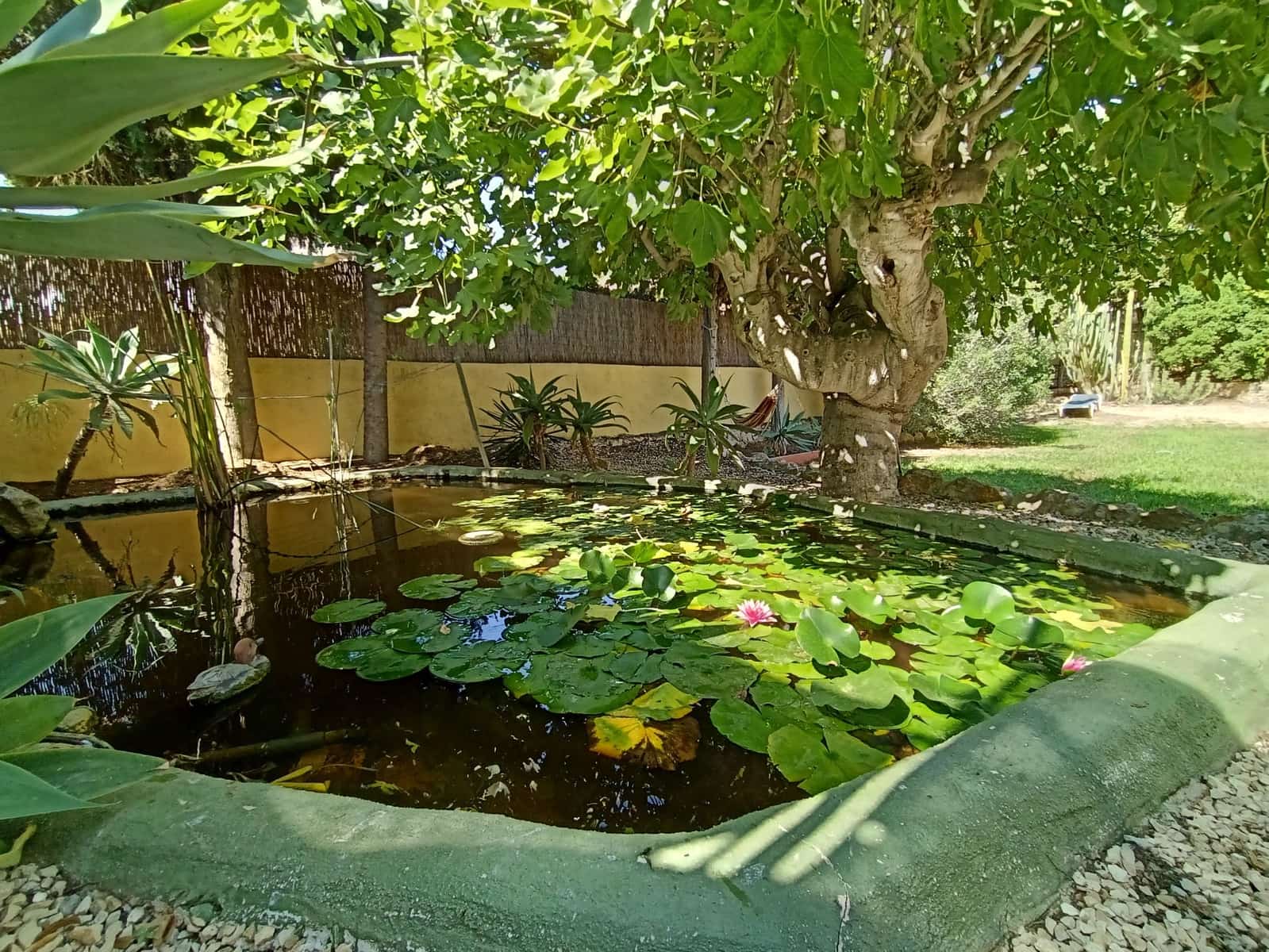 4 soveværelse Villa til salg i Benissa med swimmingpool garage - € 675.000 (Ref: 9255461)