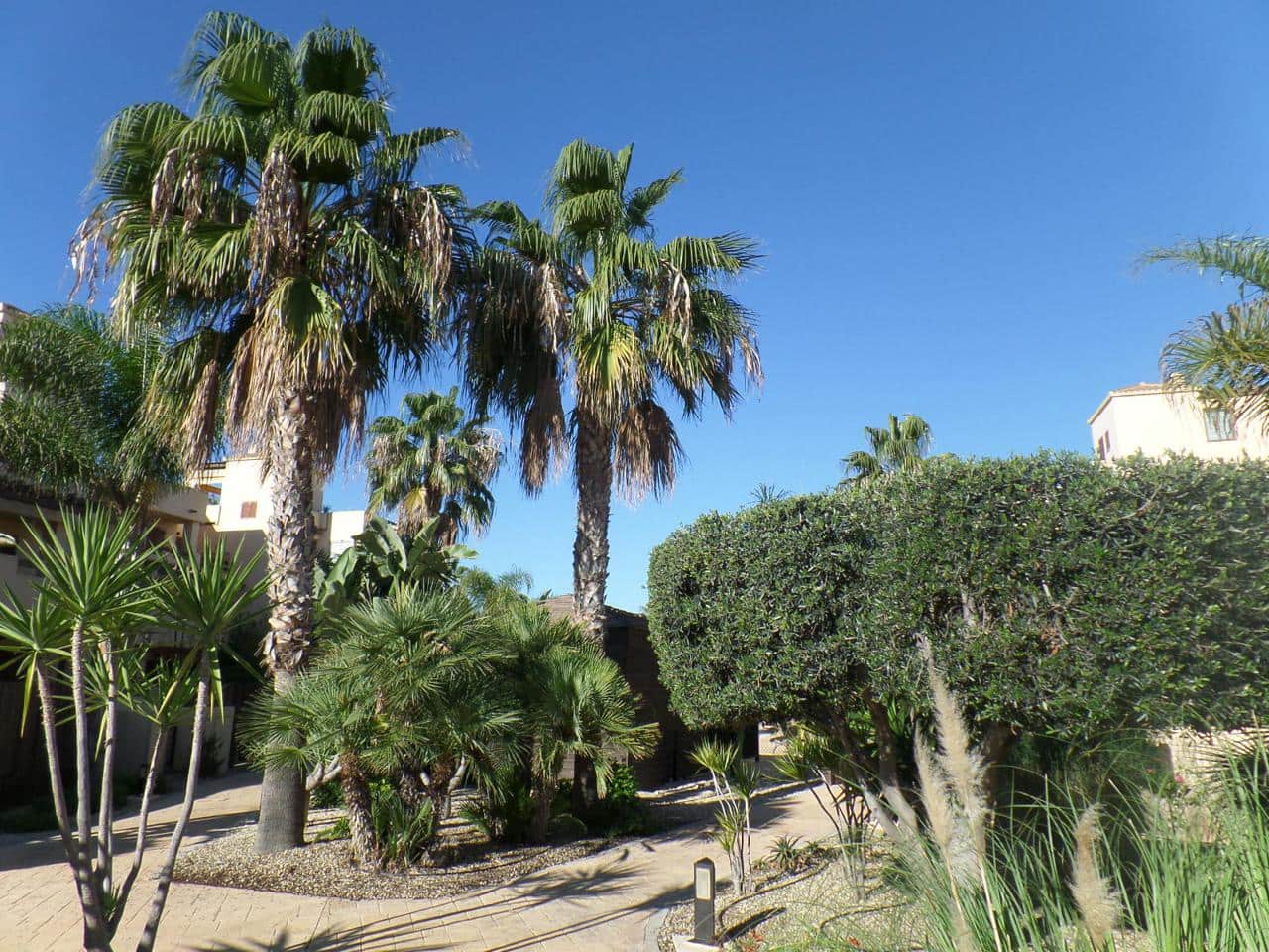 2 sypialnia Mieszkanie na kwatery wakacyjne w Vera z basenem - 800 € (Ref: 5324133)