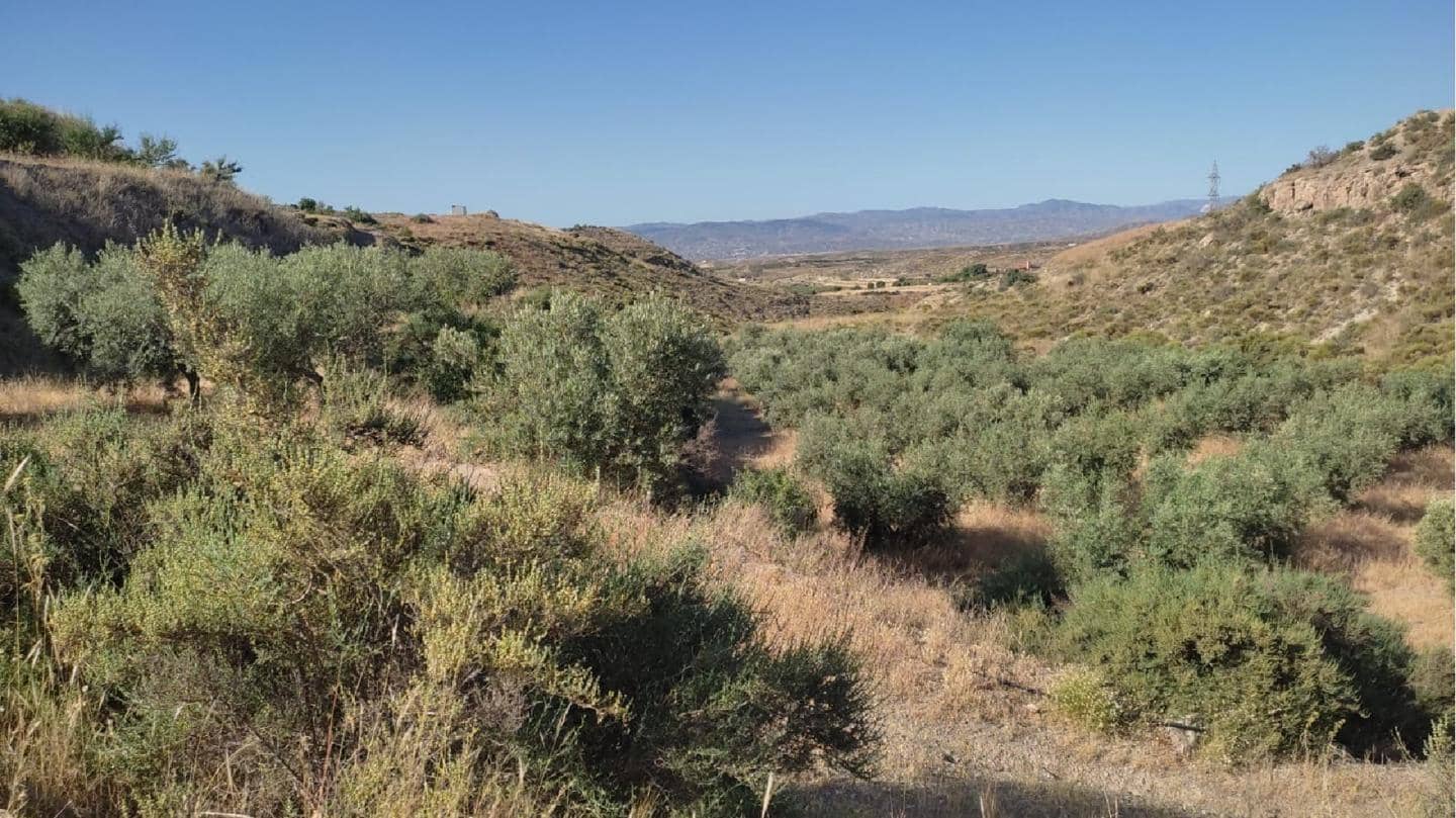 Undeveloped Land for sale in Huercal-Overa - € 19,500 (Ref: 7287541)