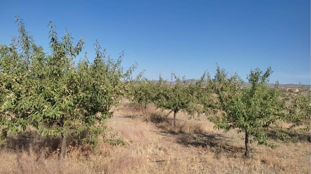 Ubebygd land til salgs i Huércal-Overa - € 19 500 (Ref: 7287541)