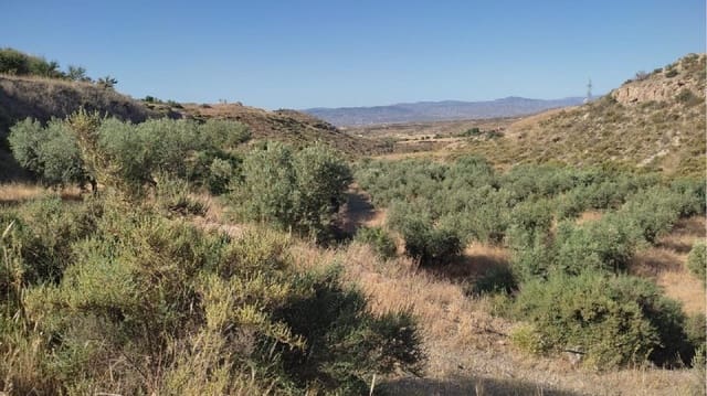 Ubebygd land til salgs i Huércal-Overa - € 19 500 (Ref: 7287541)