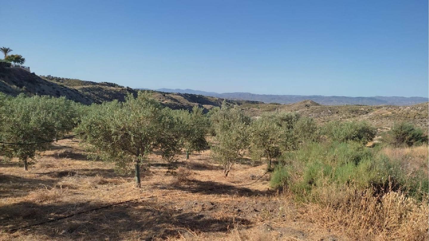 Grunde uden byggetilladelser til salg i Huercal-Overa - € 48.000 (Ref: 7290105)