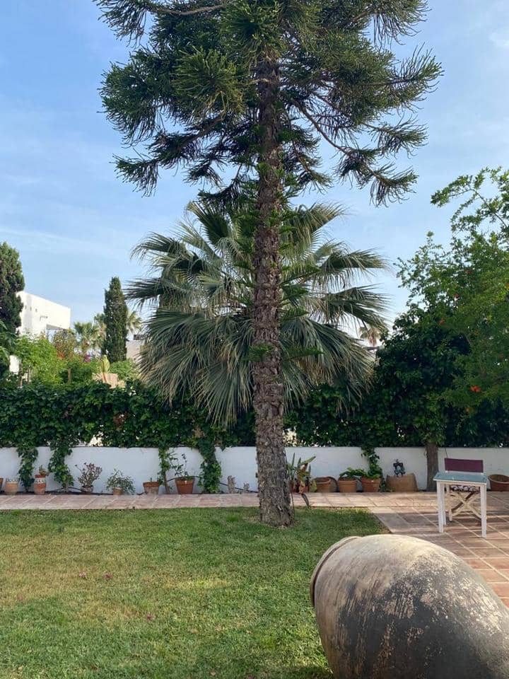 3 soverom Villa til leie i Vera med svømmebasseng - € 3 000 (Ref: 7555871)