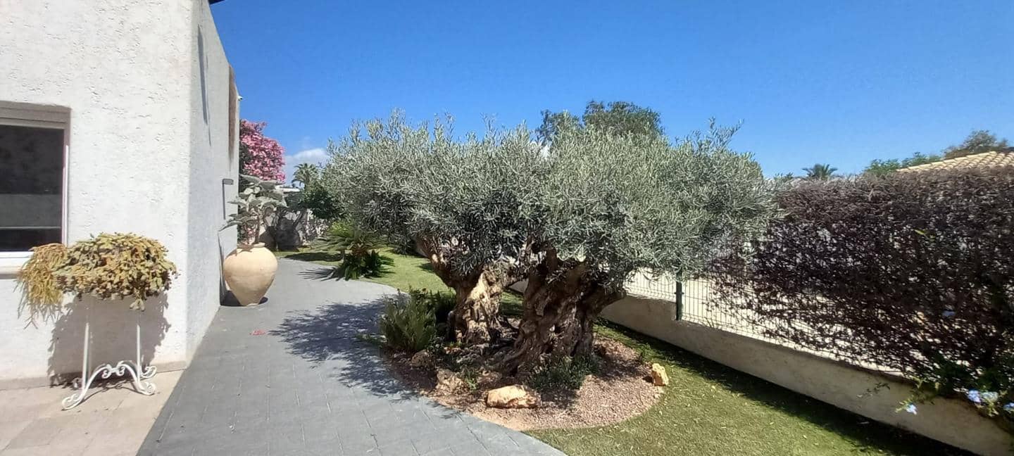 4 slaapkamer Villa te koop in La Algarrobina met zwembad garage - € 649.000 (Ref: 8361879)