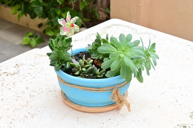 3 Zimmer Villa zu verkaufen in Vera Ciudad, Vera mit Garage - 229.000 € (Ref: 8868173)