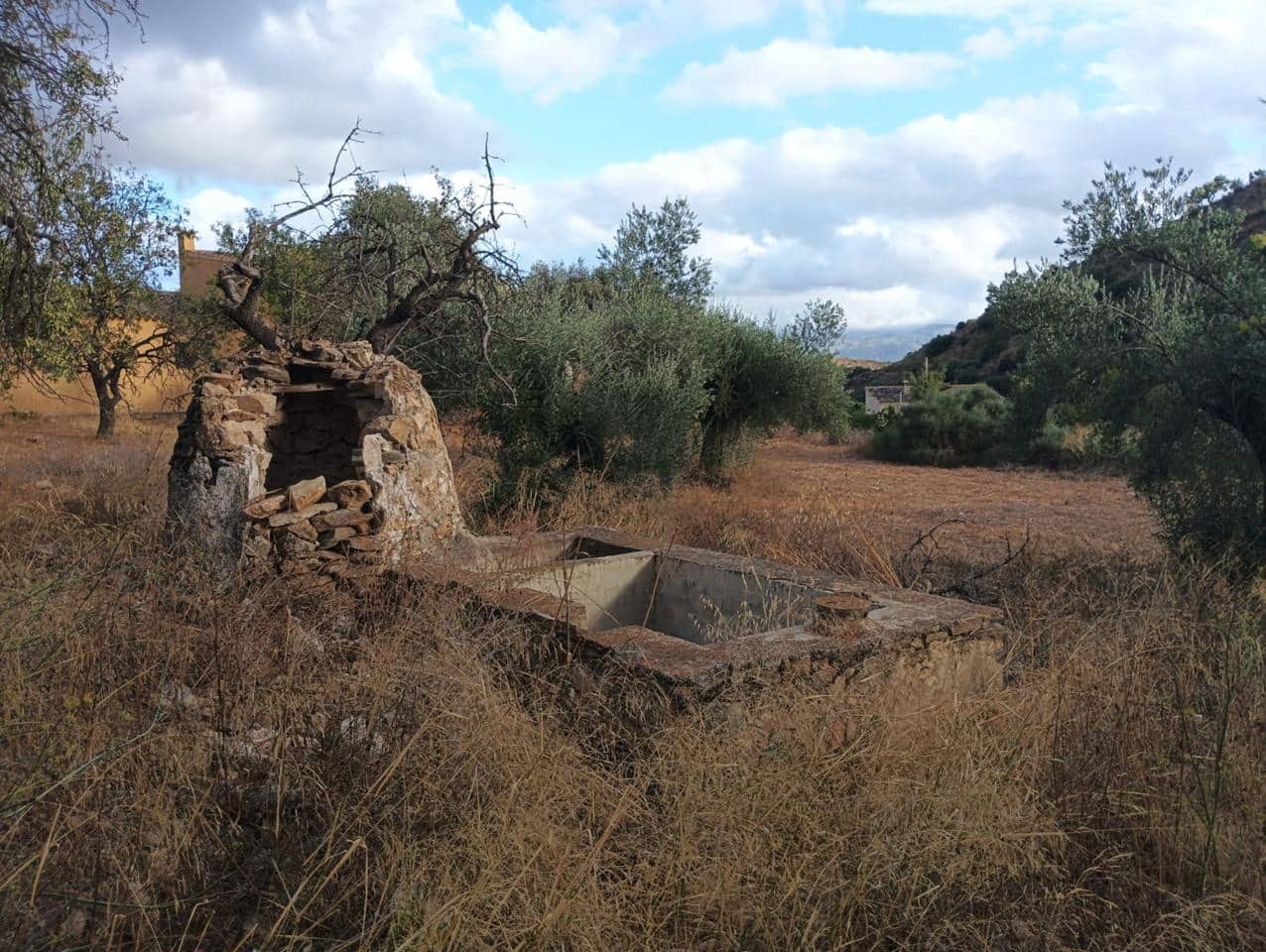 6 soveværelse Finca/Landehus til salg i Bedar - € 120.000 (Ref: 9273058)