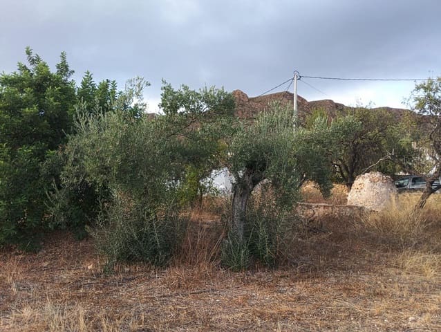 6 soverom Finca/Herregård til salgs i Bédar - € 120 000 (Ref: 9273058)