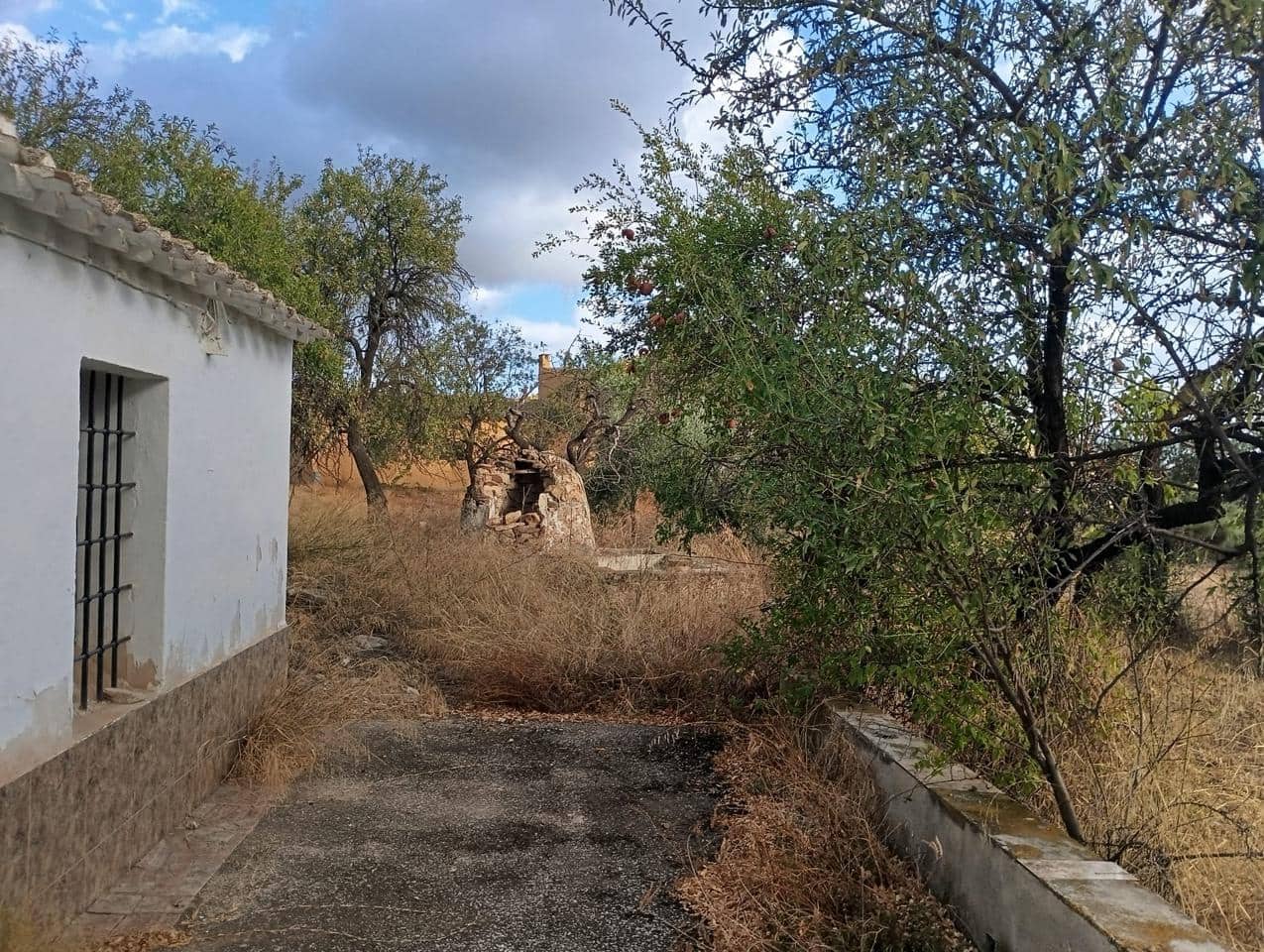 6 soveværelse Finca/Landehus til salg i Bedar - € 120.000 (Ref: 9273058)