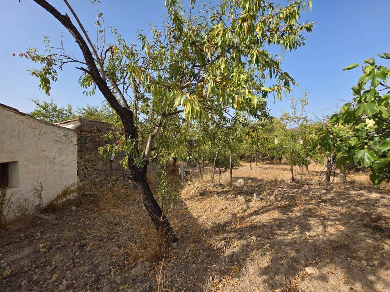 6 bedroom Finca/Country House for sale in Bedar - € 120,000 (Ref: 9273058)