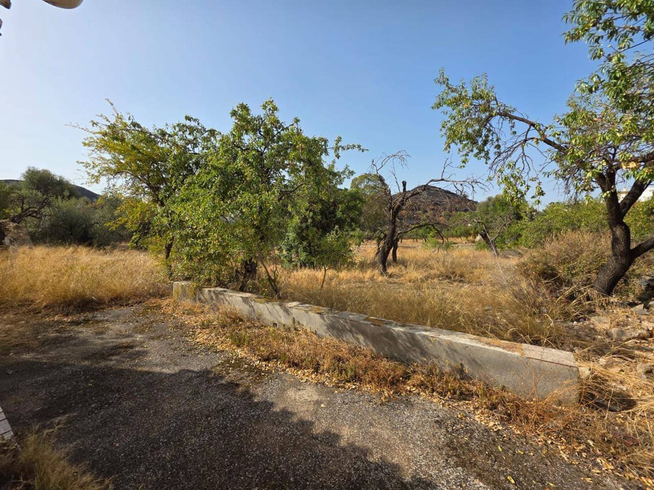 6 bedroom Finca/Country House for sale in Bedar - € 120,000 (Ref: 9273058)